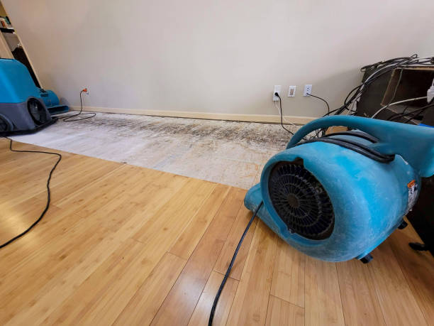 Professional Structural Drying technician working in Pisgah Forest, NC